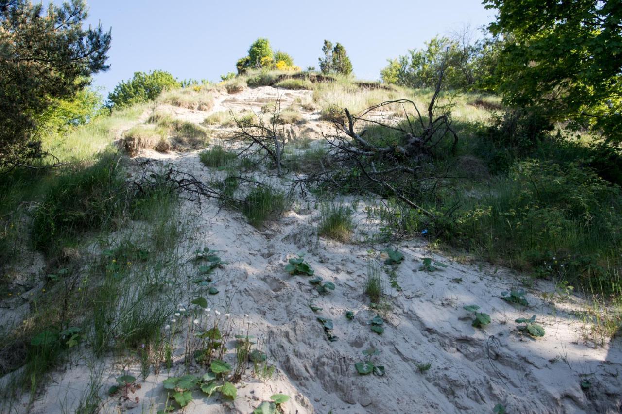 فندق Keja Camping Chlapowo Władysławowo المظهر الخارجي الصورة